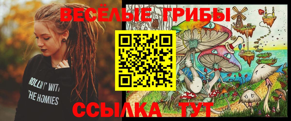 Галлюциногенные грибы MAGIC MUSHROOMS  Вход с VPN  Вольск 
